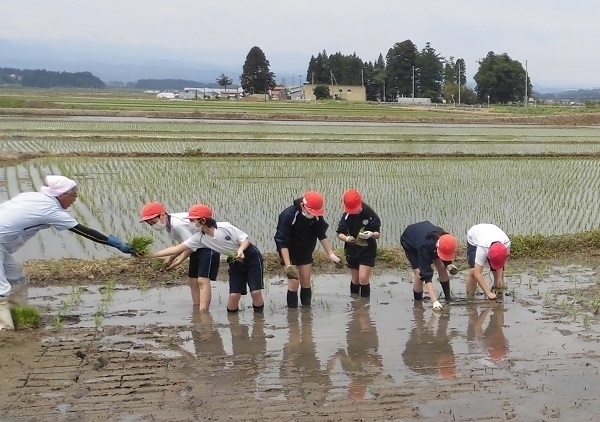 ニュース特急便　2020年6月 （1）