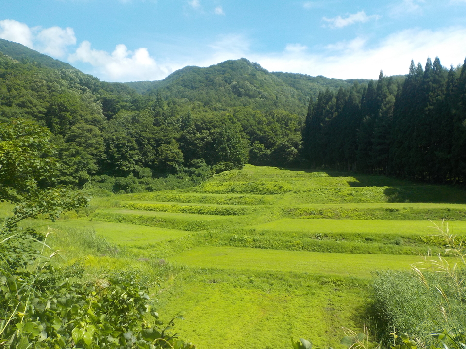 尾花沢市