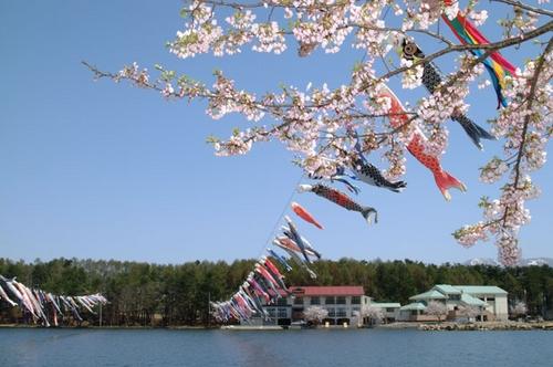 尾花沢市