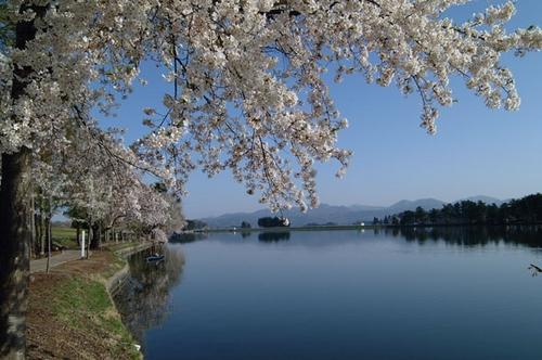 尾花沢市