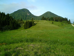 尾花沢市