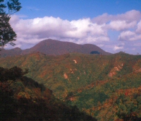 尾花沢市