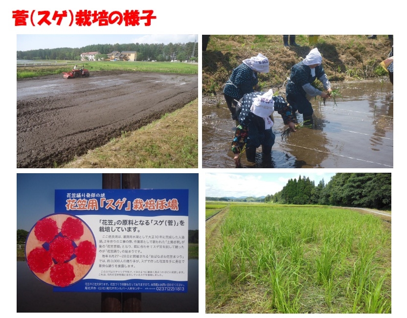 尾花沢市