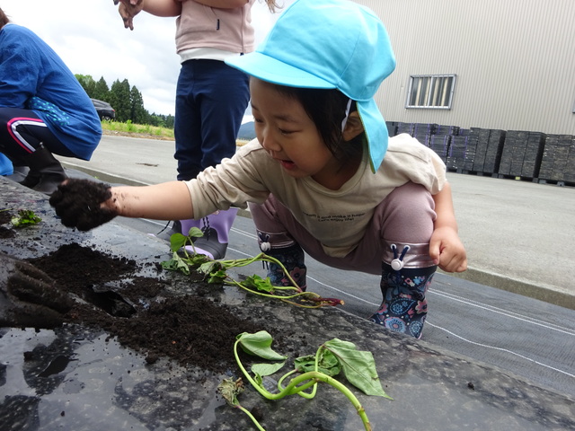 花植え５