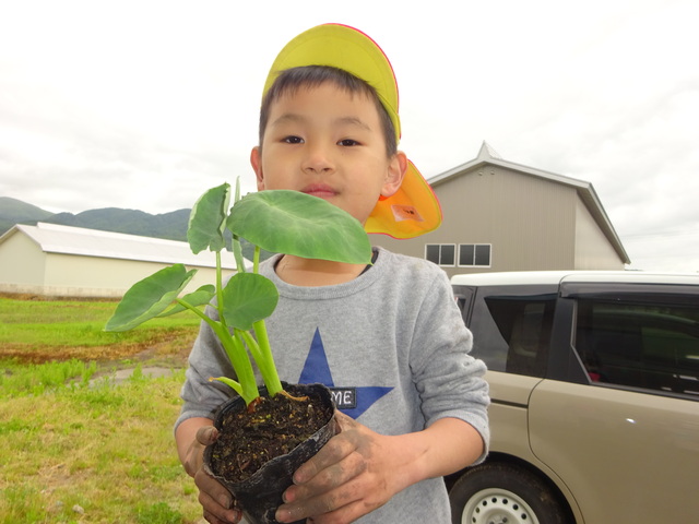花植え９