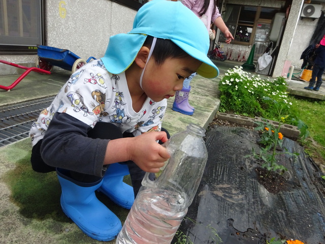 花植え１１