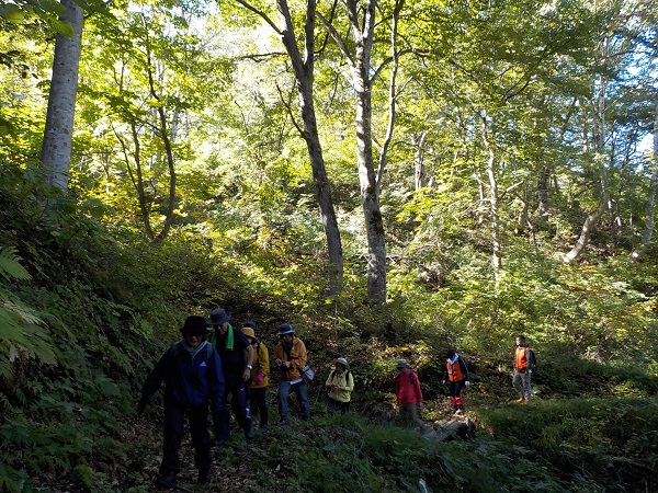 ミニ健康フェスタ2023