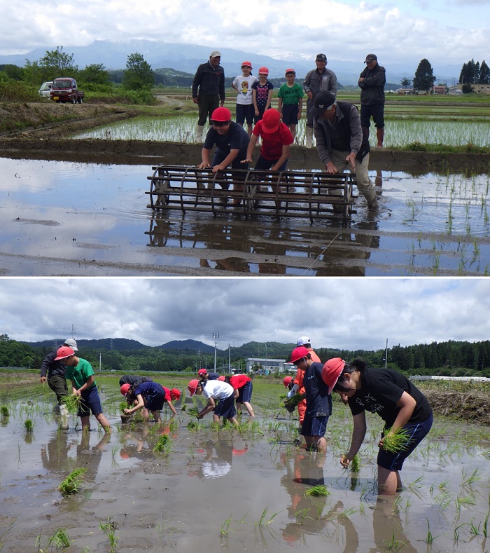 20240605宮小田植え