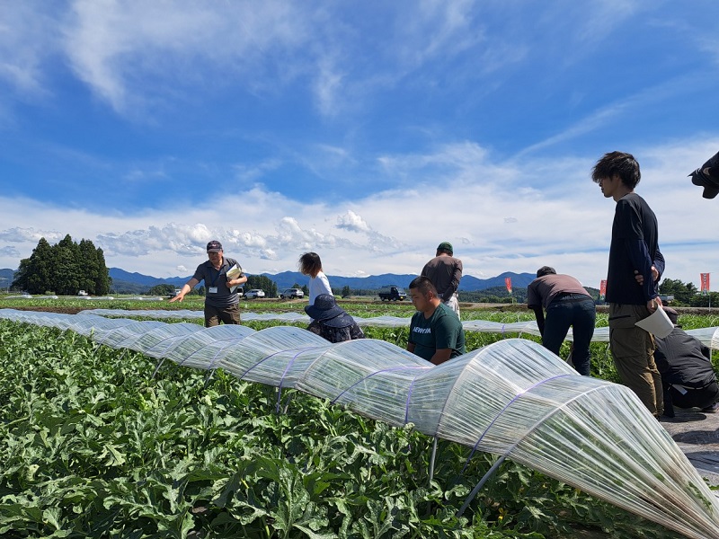 交配後の管理・摘果・皿敷き研修２