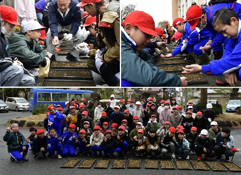 20250430田んぼアート種まき