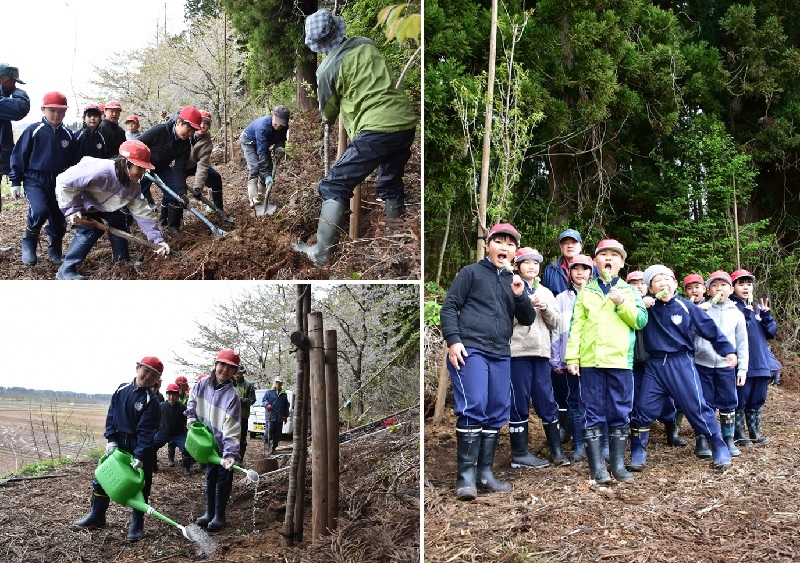 20250430三吉原樹木園桜植樹