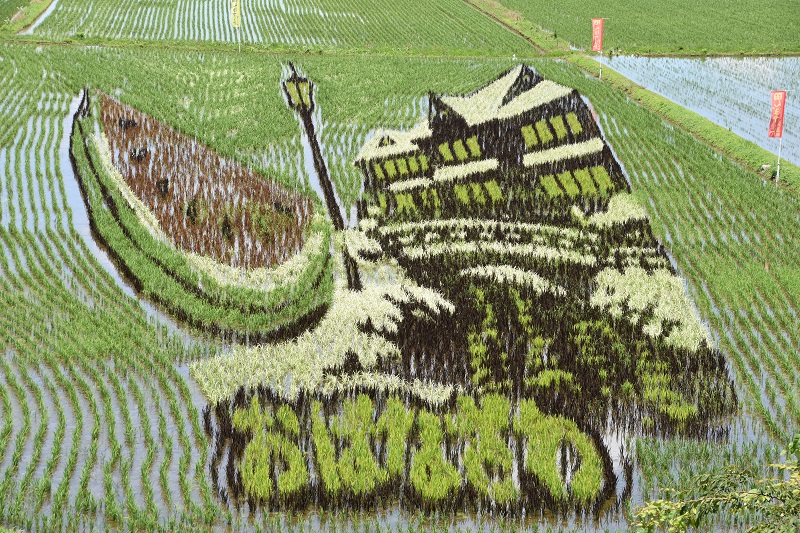 ニュース特急便 2026年5月(13) | 尾花沢市