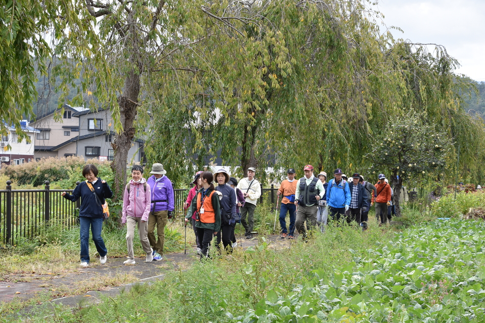 満喫ウォーキング