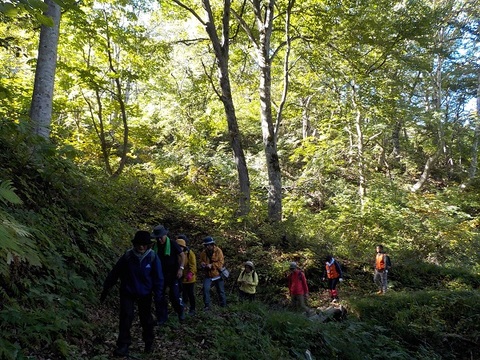 ミニ健康フェスタ2023