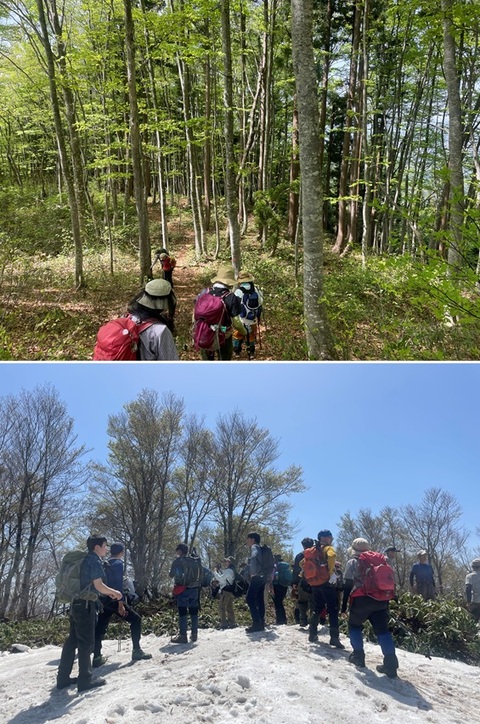 20240428早春御堂森登山