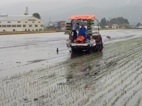 20240520圃場整備田植え