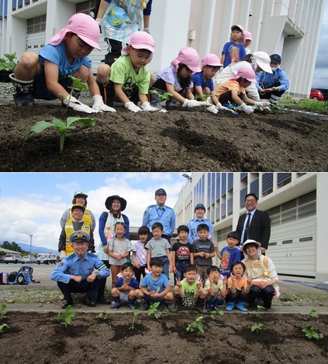 20240605ひまわりの絆