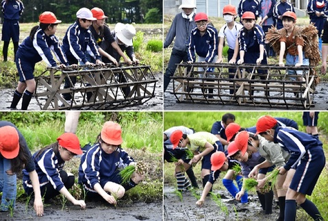 20240516玉野小田植え