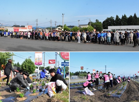 20240616花のかけはし