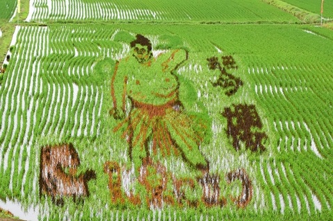 20240625田んぼアート1/2