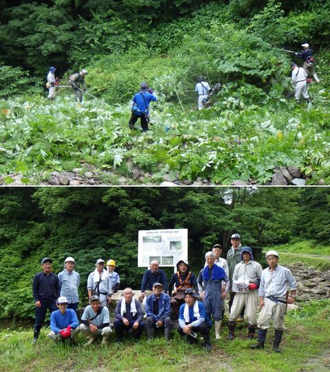 20250715中沢川草刈り
